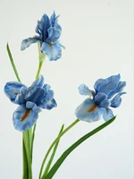 Необычное украшение для сада или даже устрашение#2