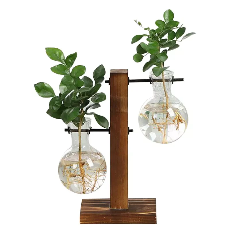 

Hydroponic Plant Vases Vintage Flower Pot Transparent Vase Wooden Frame Glass Tabletop Plants Home Bonsai Decor