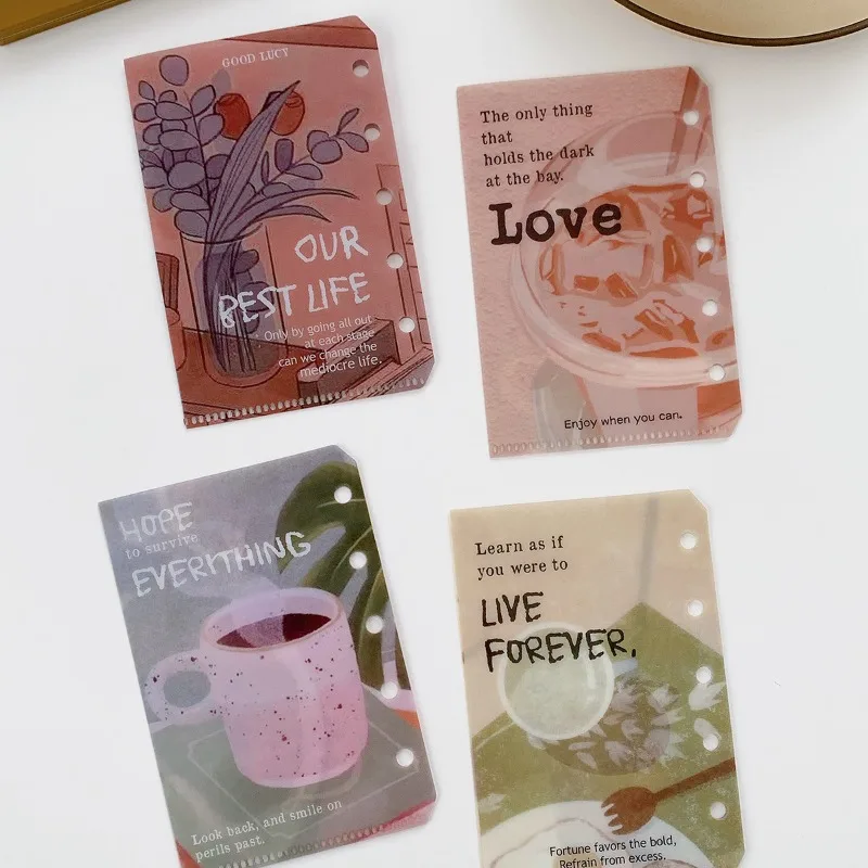 

Набор из 4 пластиковых внутренних страниц для блокнотов 11x7,4 см