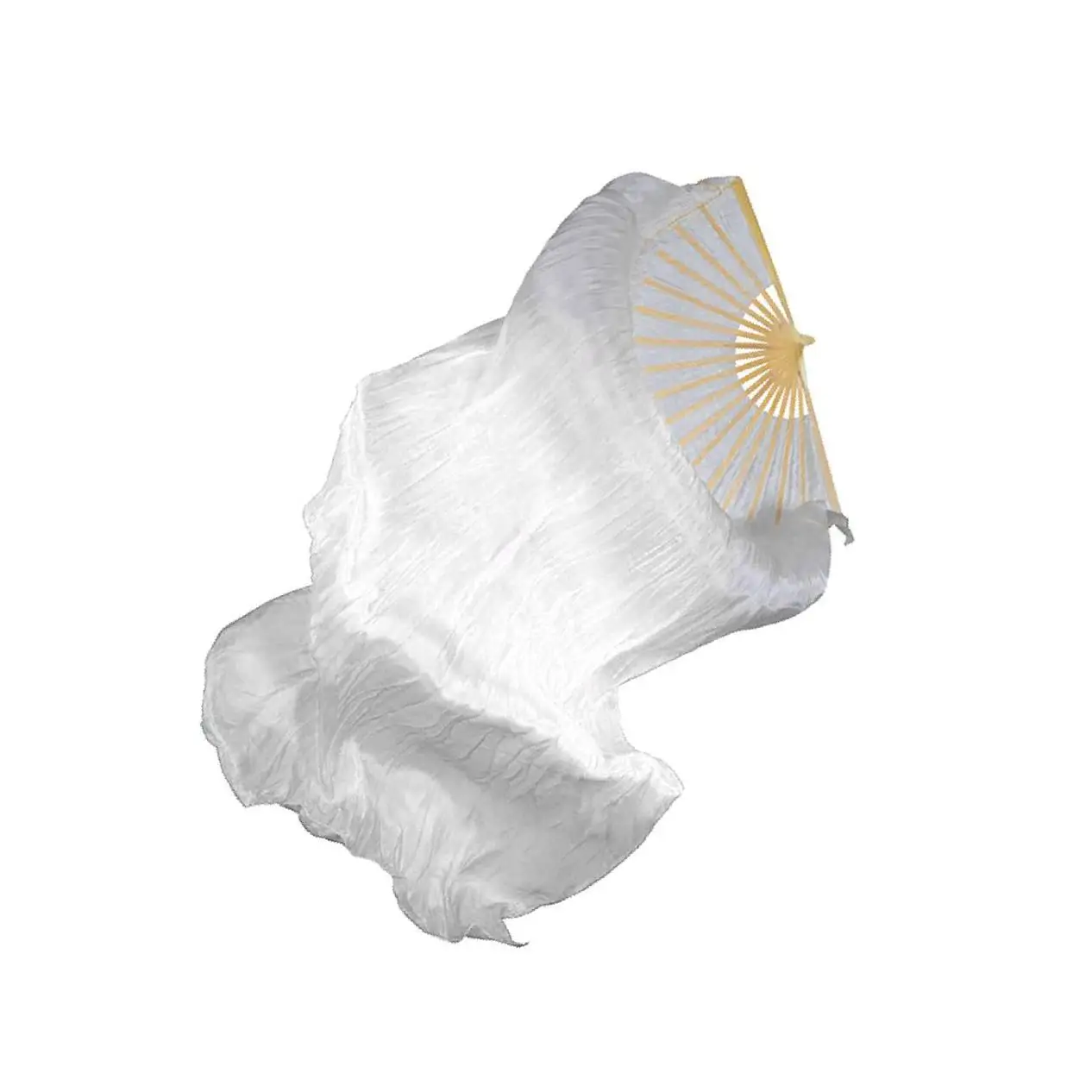 

1pcs Fan s Belly Dance Silk Fan Dancing LED Light Up