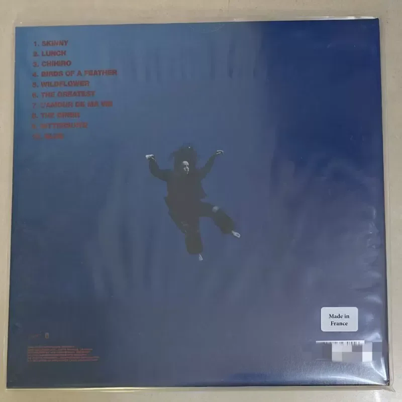 Фото Виниловая пластинка Billie Eilish Hit Me Hard and Soft Green Clear Coke Bottle LP №3