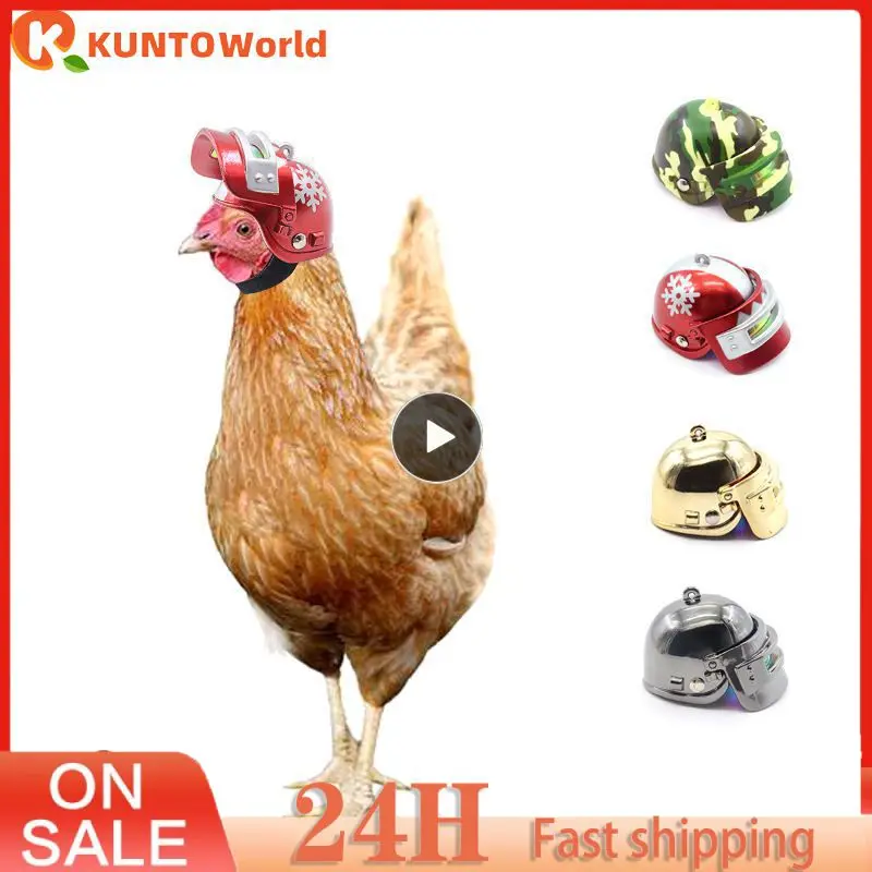 

2/4/6PCS Chicken Helmet Cap Lovely Pet Protective Helmet Sun Rain Protection Helmet Toy Bird Quail Hens Small Pet Supplies