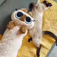 Плюшевый котик Azuki san#1