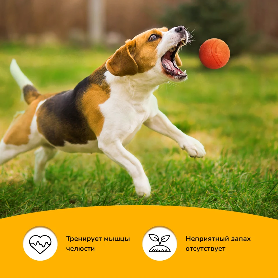 Резиновый мяч-игрушка для собак &quotSUPER ЁЖ&quot РА-024 диаметр 7см.