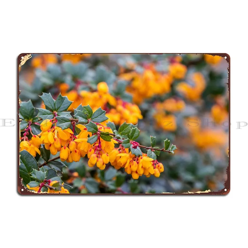 

Металлический плакат Darwins, дизайн пещеры, печатный классический оловянный плакат