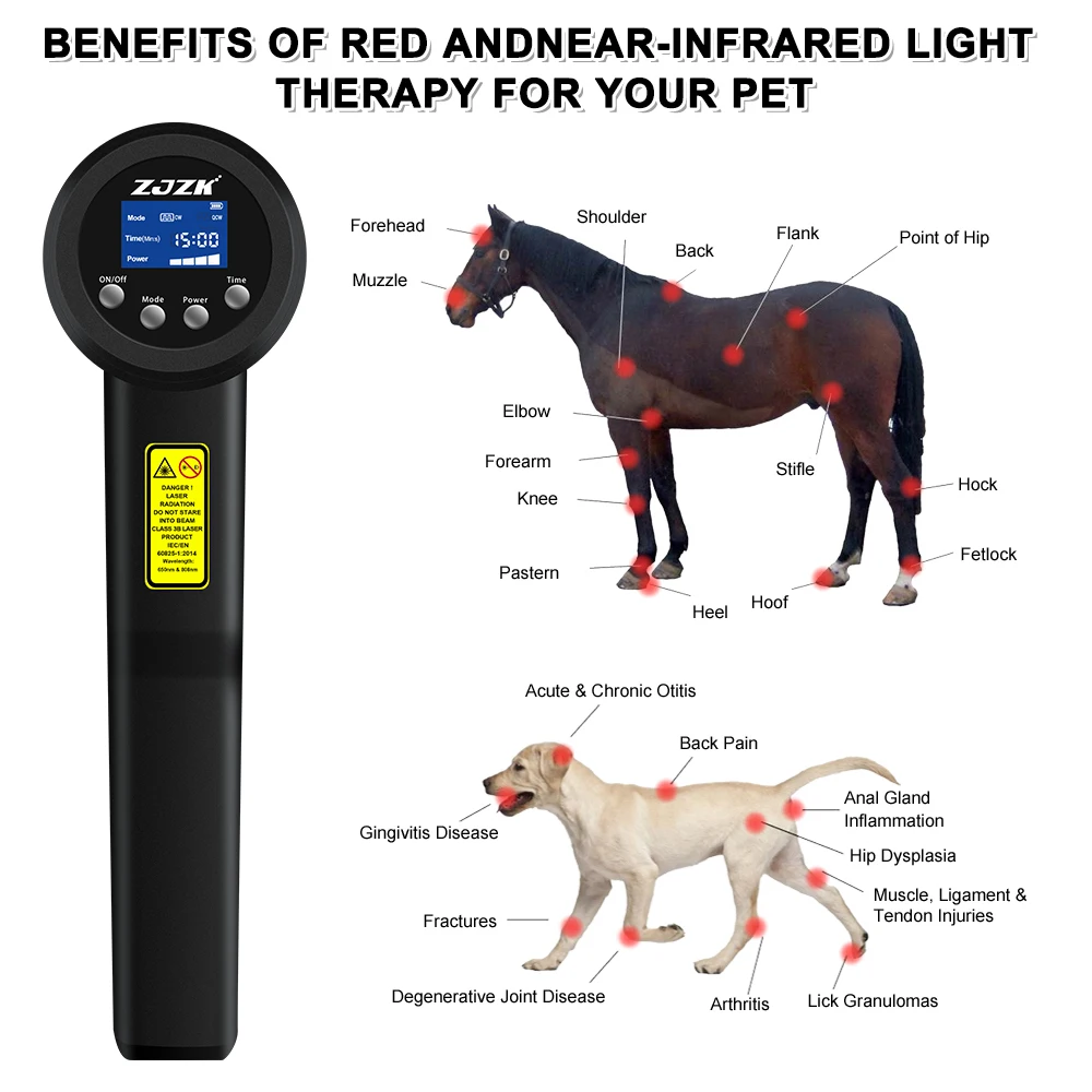 

3000mW Physiotherapy Cold Laser Device 650nm 808nm Physical Therapy Home Use for Pain Back Powerful Handheld