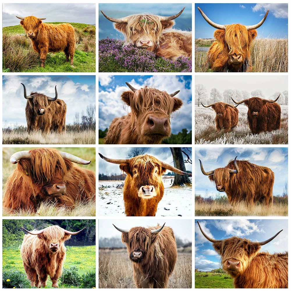 

5D DIY Diamond Painting Animal Buffalo Diamond Embroidery Cross Stitch Set Living Room Home Wall Handmade Painting Decoration