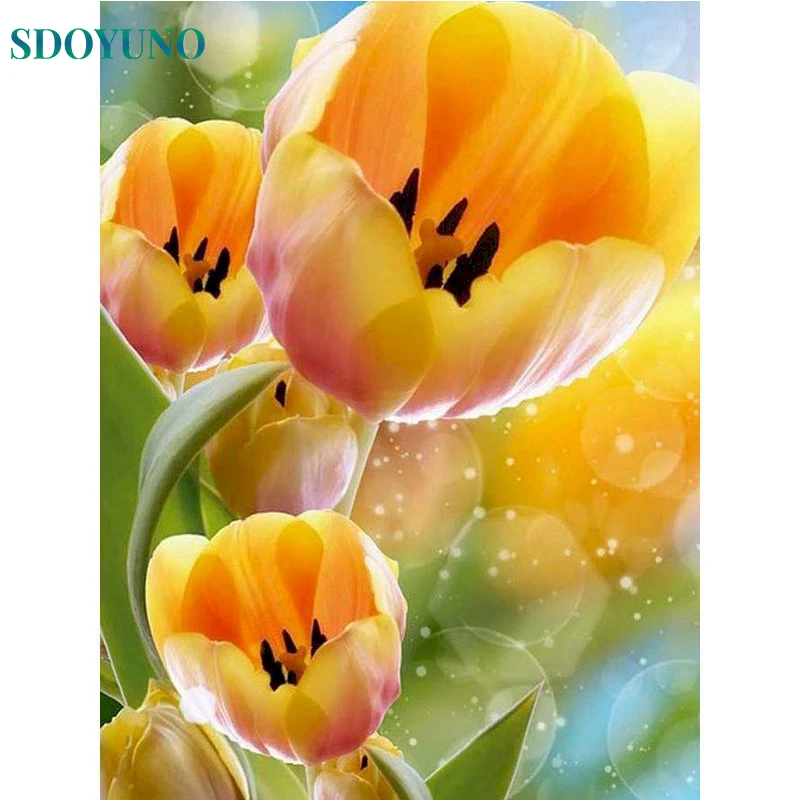 

SDOYUNO DIY Oil Painting By Numbers Lily On Canvas HandPaint Acrylic Paints Kit Flower Scenery Picture By Number Wall Art Decor