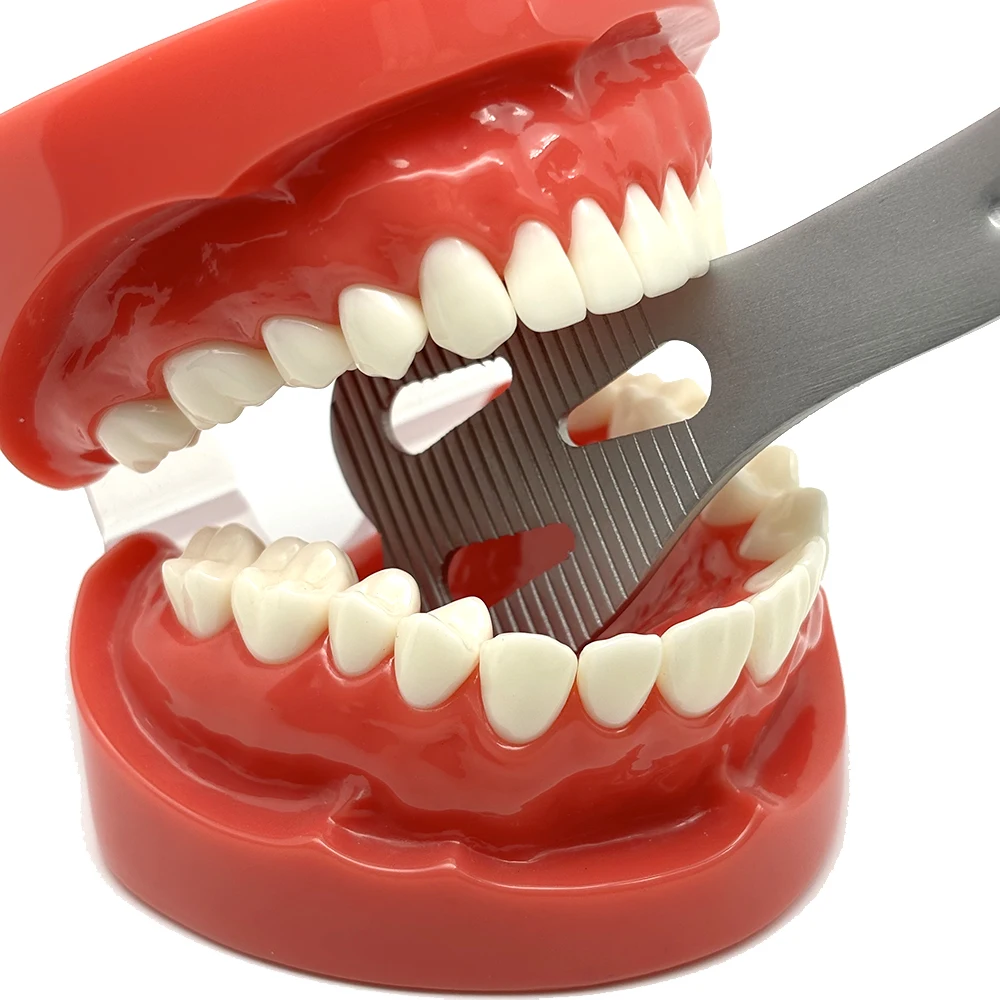 Стоматологический открывалка для рта из нержавеющей стали стоматологический