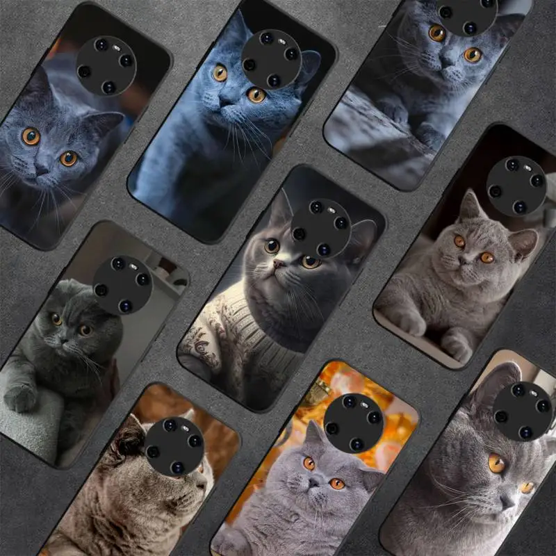 

British Shorthair Cat Phone Case For Huawei Y 5 Y62019 Y52018 Y92019 Luxury funda case for 9prime2019