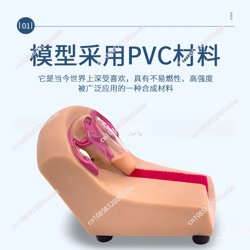 Тренировочный симулятор IUD женское внутриутеринское контрацептивное устройство