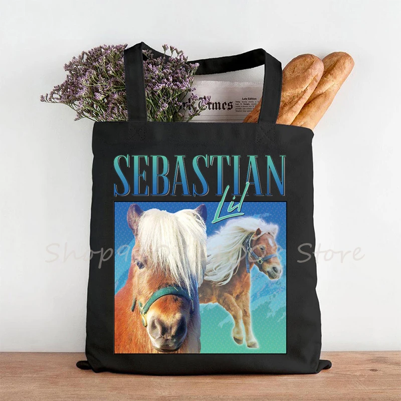 

Lil Sebastian Fashion Canvas Bag Shopper Black Harajuku Vintage Handbag Shoulder Bag Retro 90's Vintage Parks Rec TV Show Bags