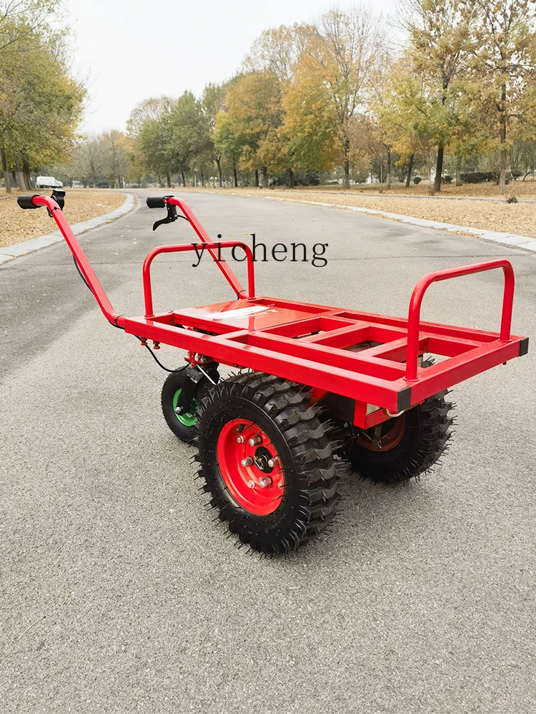 Двухколесная электрическая тележка Tqh стандартная для зарядки сада