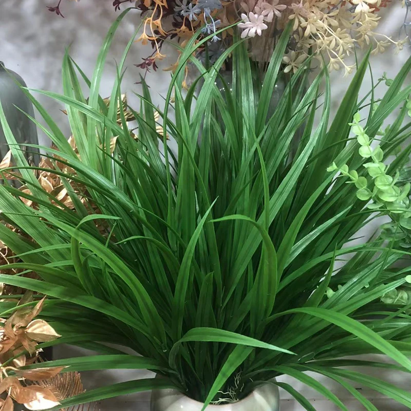 3-крашеная Магнолия цветок орхидеи травяная линия рассады травы широколистная