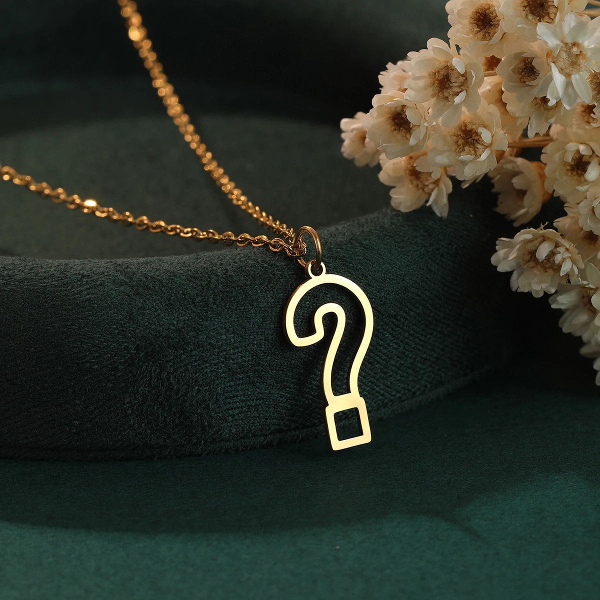 Ожерелье Todorova знак вопроса из нержавеющей стали