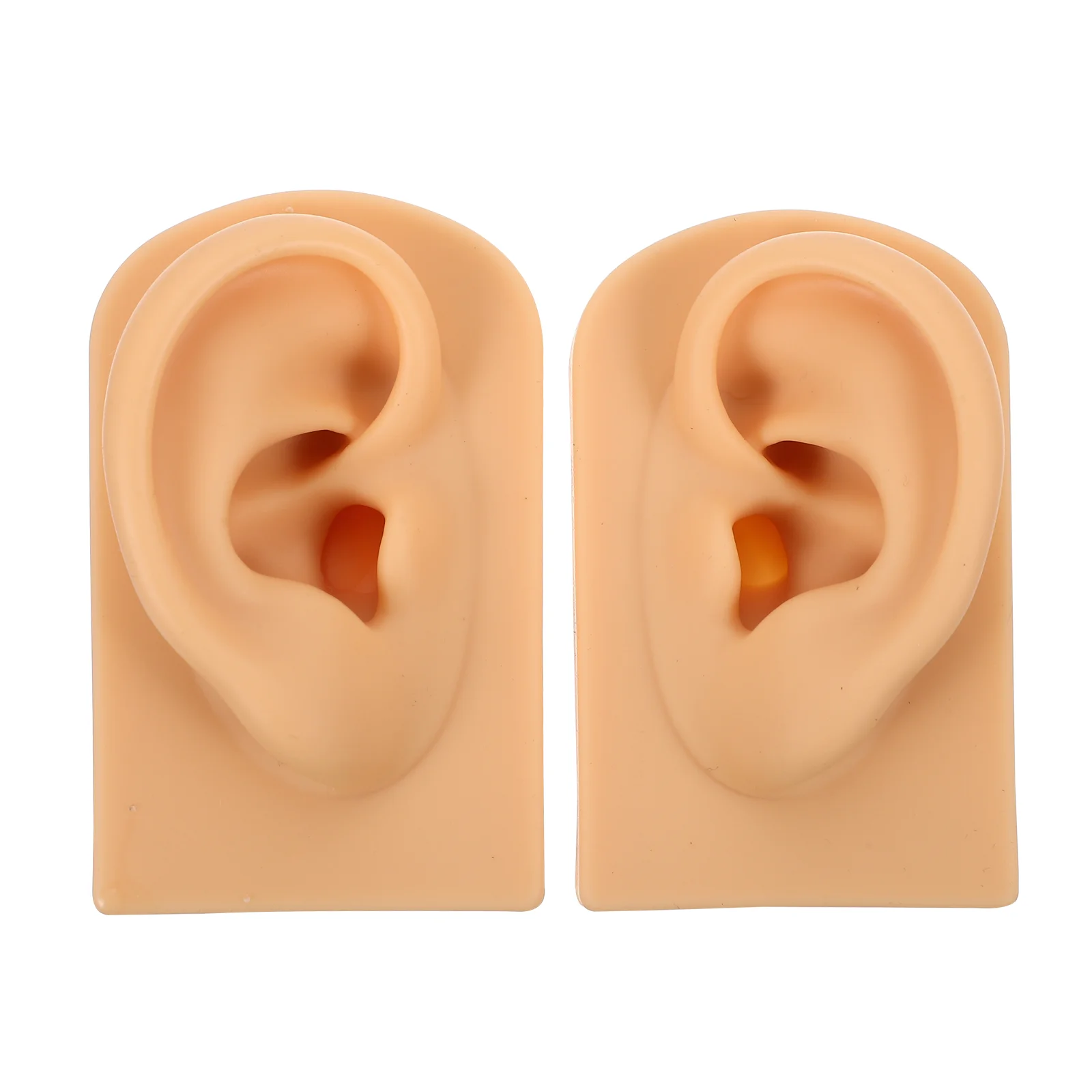 

1 Set Silicone Ear Model Fake Ear Model Simulated Ear Model Ear Model Tool