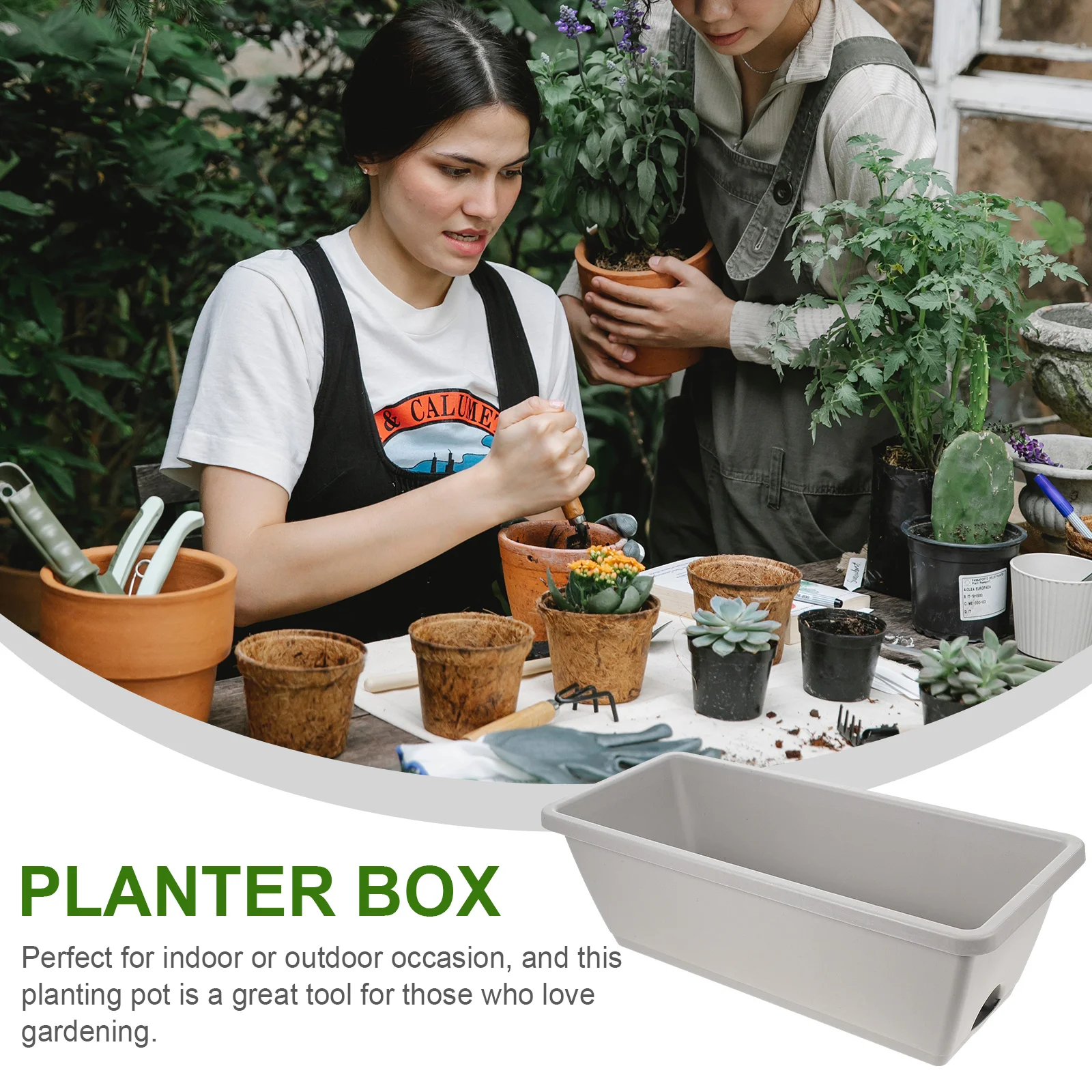 

4 Sets Flower Pot Box Pots Garden Container Planters Nursery Plastic Household Succulent Accessories Tray