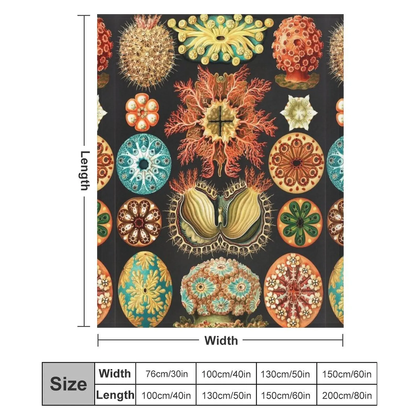 Art Forms in Nature от Ernst Haeckel Декоративное одеяло Дизайнеры для волос Летнее постельное