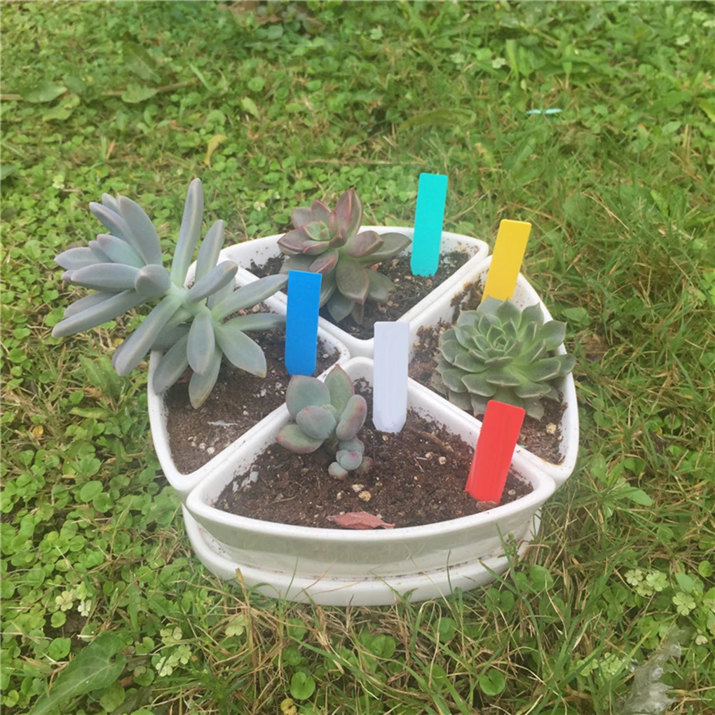 Ярлыки пластиковые для садовых растений 10 х2 см 100 шт. |