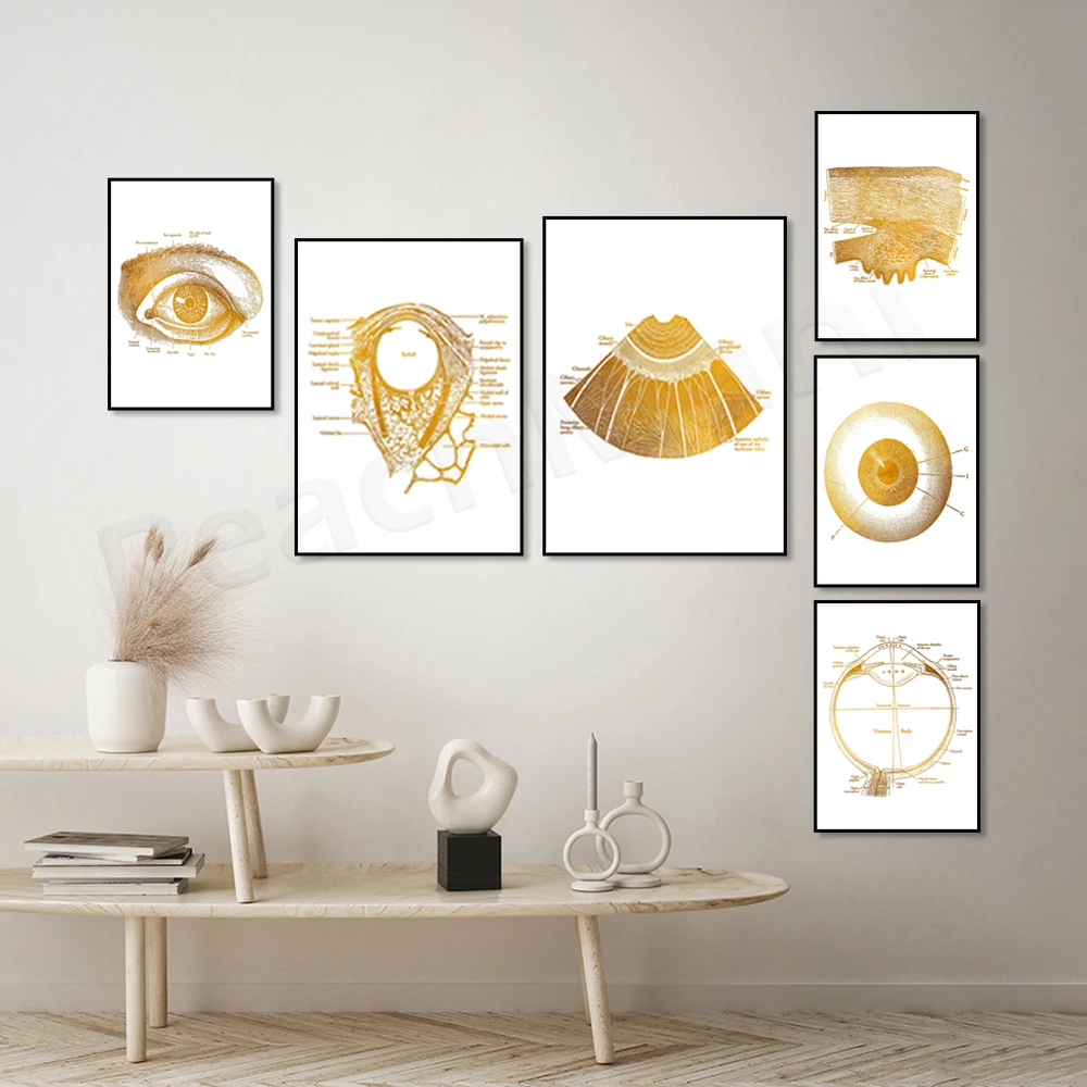 Офтальмологическая Анатомия глаз оптометрическая Постер оптометрии-искусство