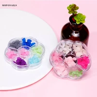 6 colors nail dry flower sticker real dryflower bluepinkpurple 3petals natural floral nailart decoration 3d nail decals zcf07