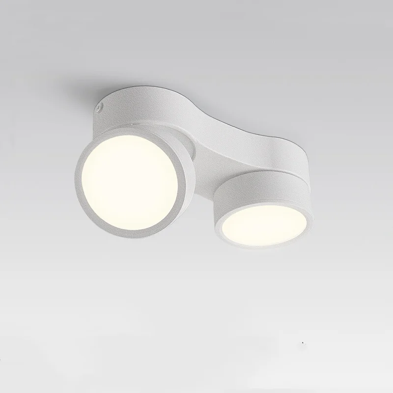 

Потолочный светильник IWP, двойная головка, белый свет