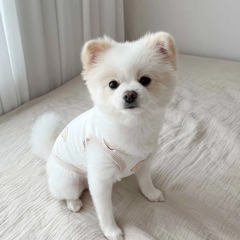 Летняя одежда для собак с принтом медведя хлопковая Мягкая дышащая щенков