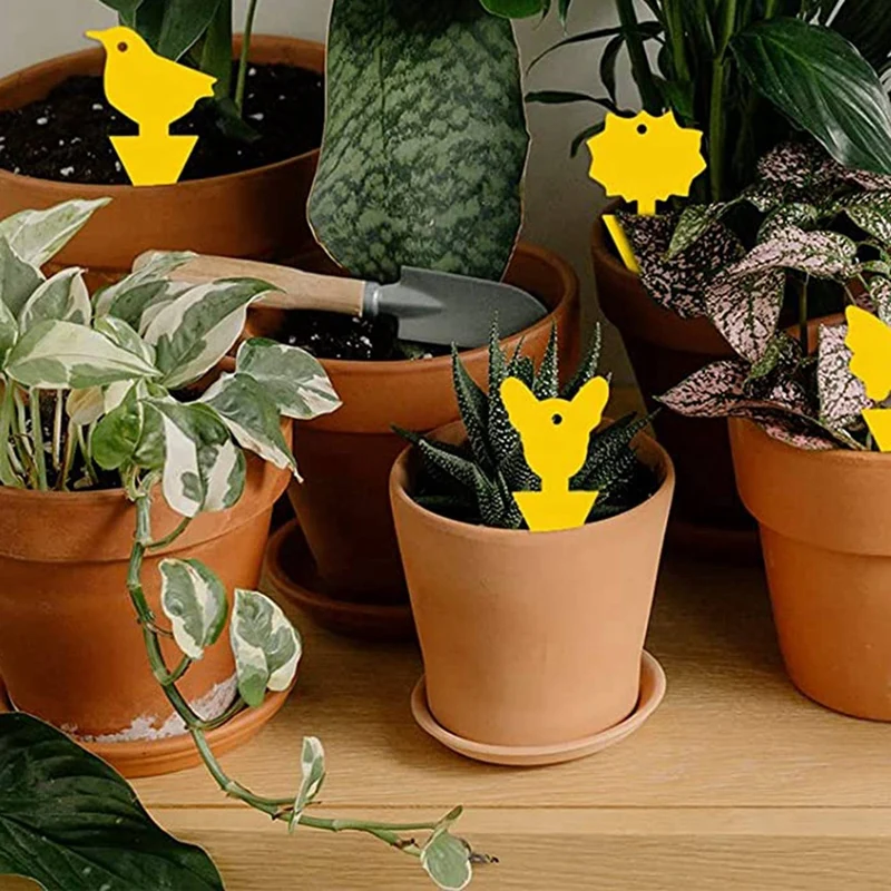 Клейкие ловушки для фруктов мух грибков насекомых Ловушки дома и улицы 72 шт.