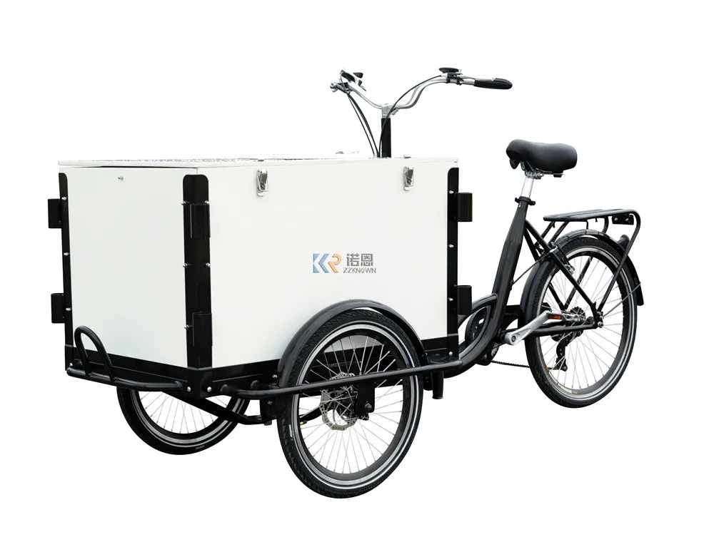 

3 Wheels Electric Cargo Motor Tricycle Portable Shopping Bike Fruits Bicycle European Standard Motrike