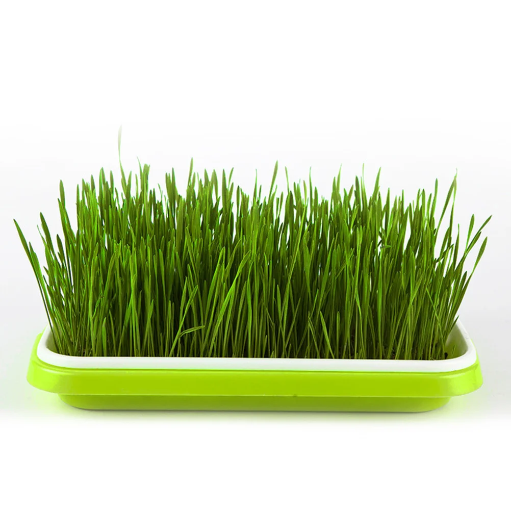 

Starter Tray Plastic Pallet Trays Bean Sprout Grower Hydroponic Hydroponics