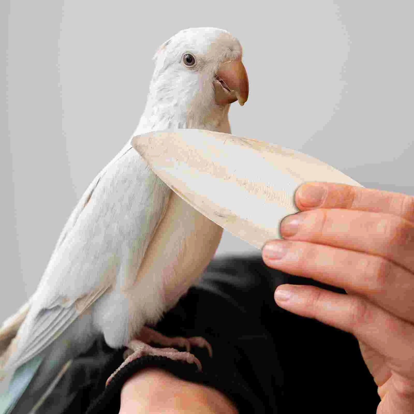 6 шт. жевательная игрушка для птиц клетка домашних животных игрушки попугаев