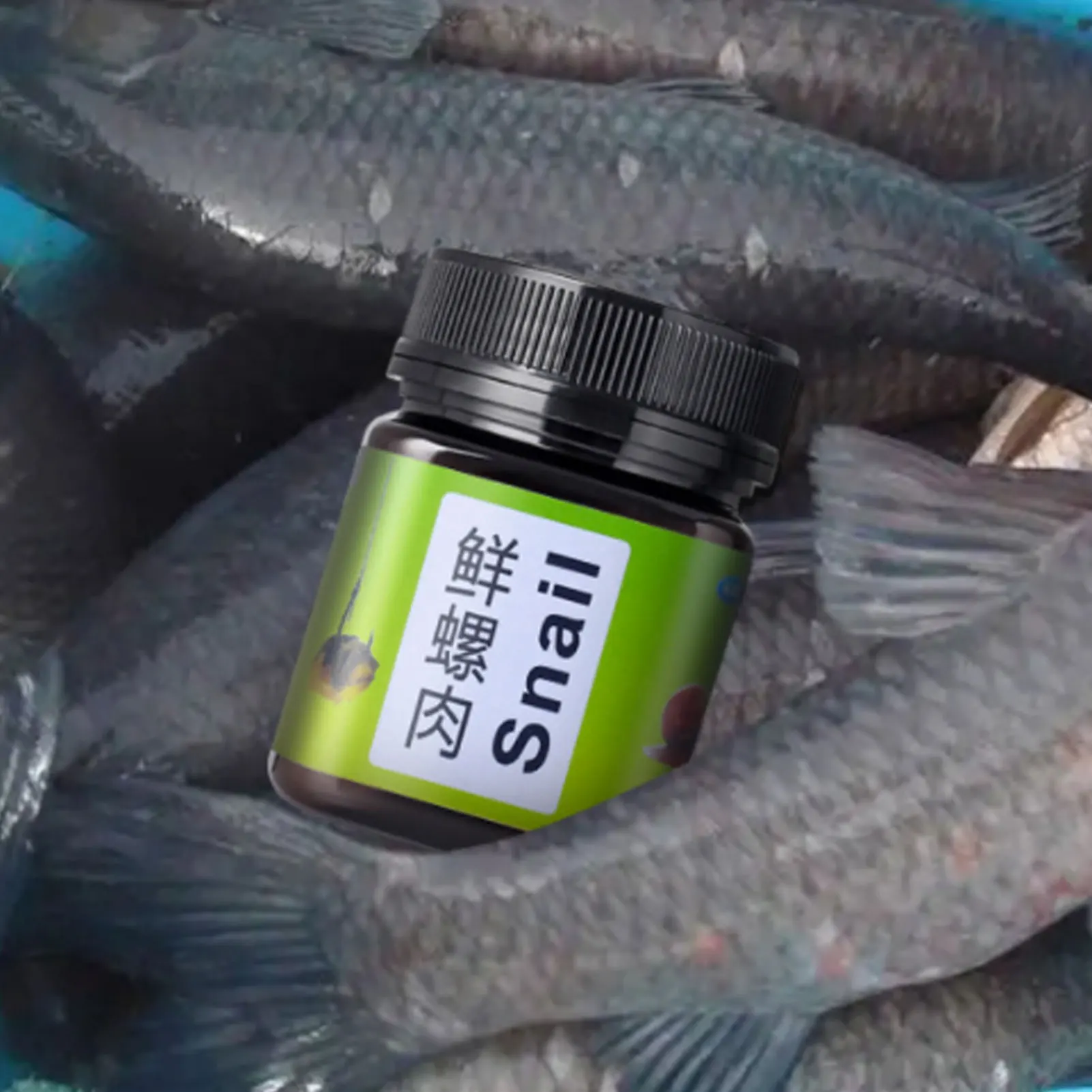 

Fish Bait Freshwater Snail Fish Attractant Carp Crucian Catfish Tilapia High Density Natural Attractant