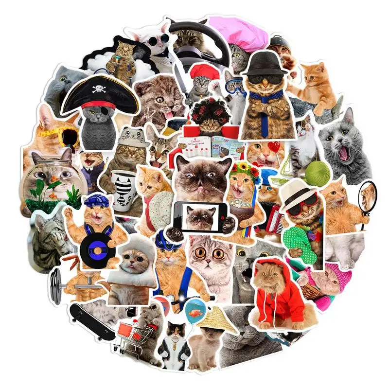 

Cat Stickers Waterproof Kitten Stickers 66 Pcs Animal Stickers For Laptop Phone Case Scrapbook Journal Water Bottle Luggage