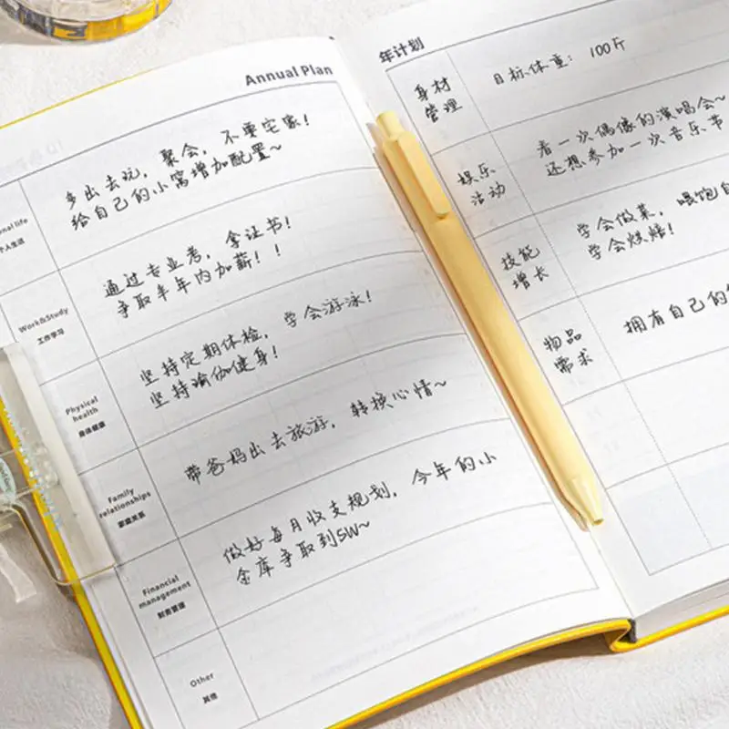 Планировщики на 2025 год для женщин тетрадь встреч с дизайном рисования ежедневник