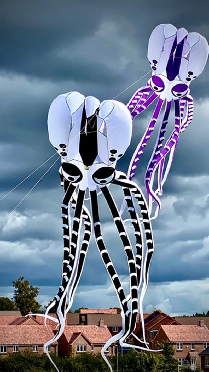 Бесплатная доставка воздушный змей-осьминог большой надувной змей летающие