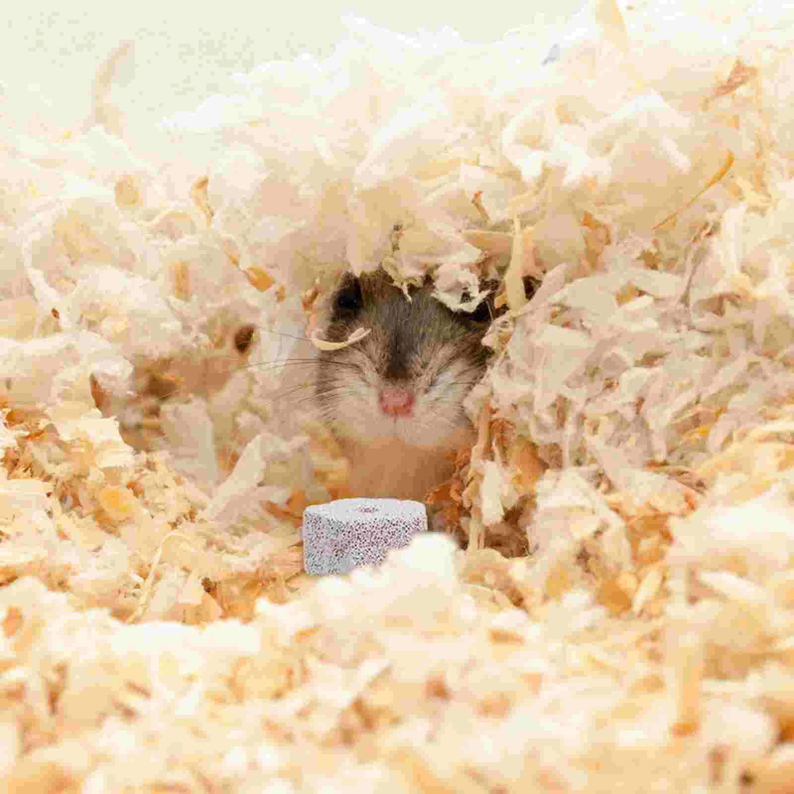 12 шт. шиншилла пемза камень попугай молярные игрушки шлифовальная машина для