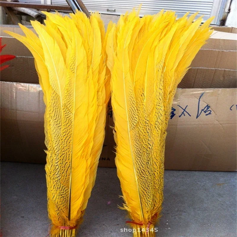 

Golden Silver Chicken Feathers 40-80 Cm /16-32 Inches Lady Amherst Pheasant Feathers Performance Decoration Plumes