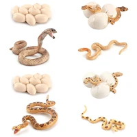 snake growth cycle snake life cycle model toy set science learning toy for kids education animal themed party favors realistic