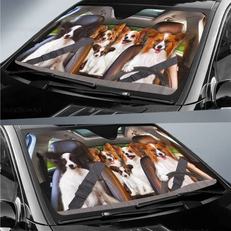 Рисунок 6 - Солнцезащитный козырек для автомобиля