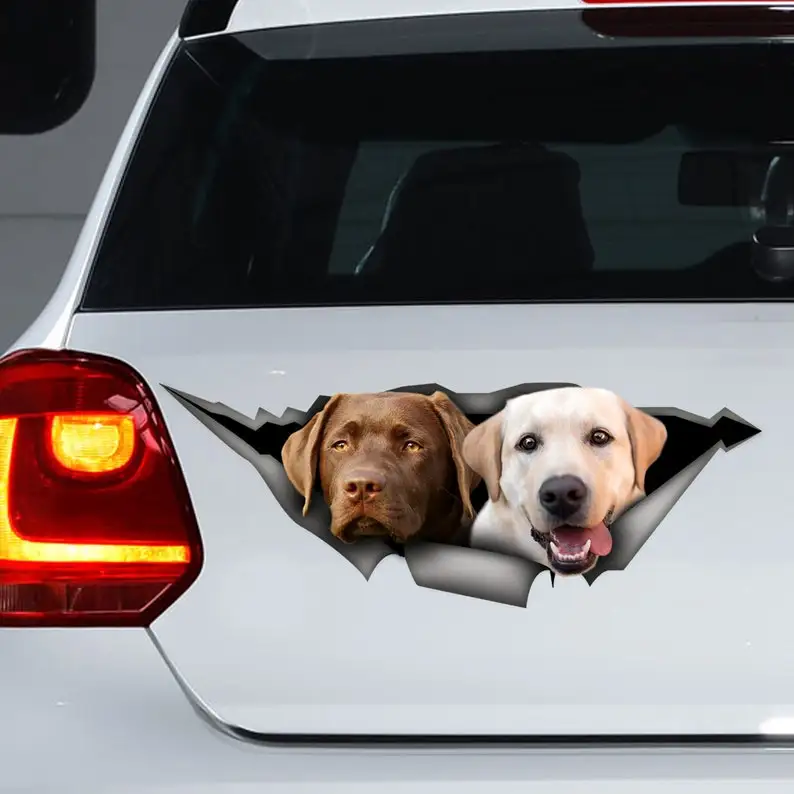 

Chocolate and gold labs Decal, Lab magnet, chocolate labrador Decal, Car magnet, dog decal, Laptop Decal