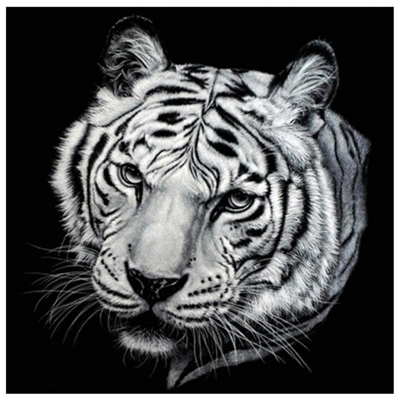 5D алмазная краска черно-белый тигр полный набор сверл по номерам SKRYUIE DIY Стразы