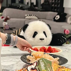 Плюшевая панда