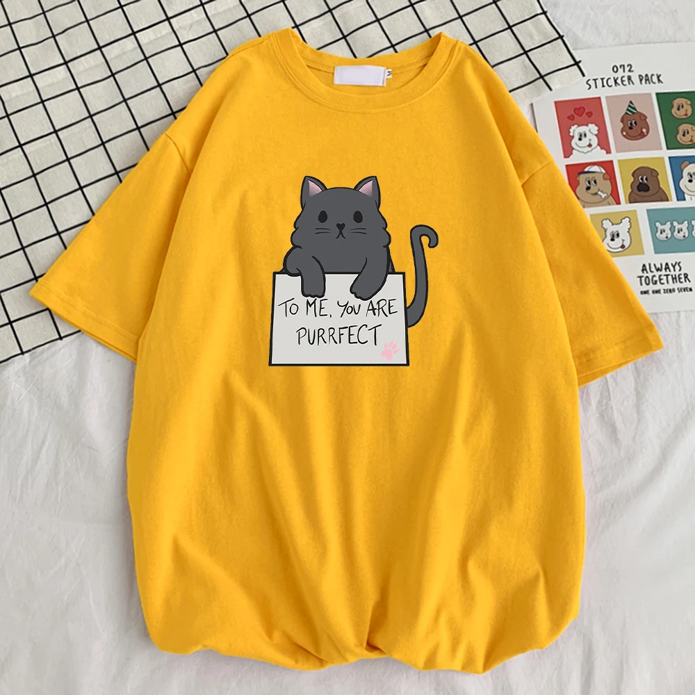 

Женская футболка с круглым вырезом, с принтом кошки