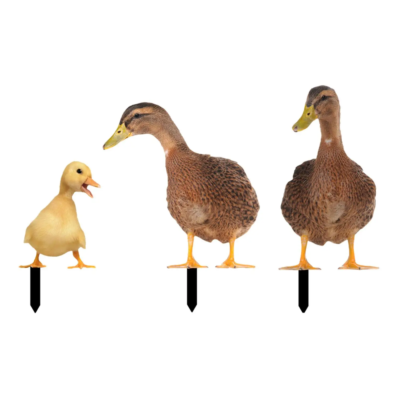 

3Pcs Acrylic Duck Statue Stakes Animals Figurines Ornament Lifelike Outdoor Statues Ducks Figurine for Yard Patio Pathway Garden