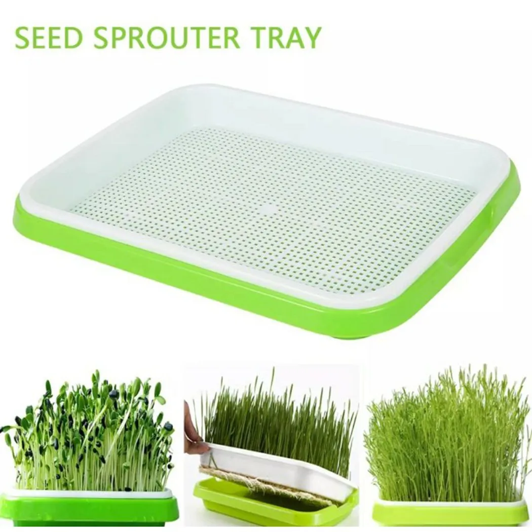 

Sprouting Tray Double Layer Pea Mung Bean Peanut Wheat Hydroponic Sprout Plate Seedling Sprouter Cat Grass Soilless Planting Pot