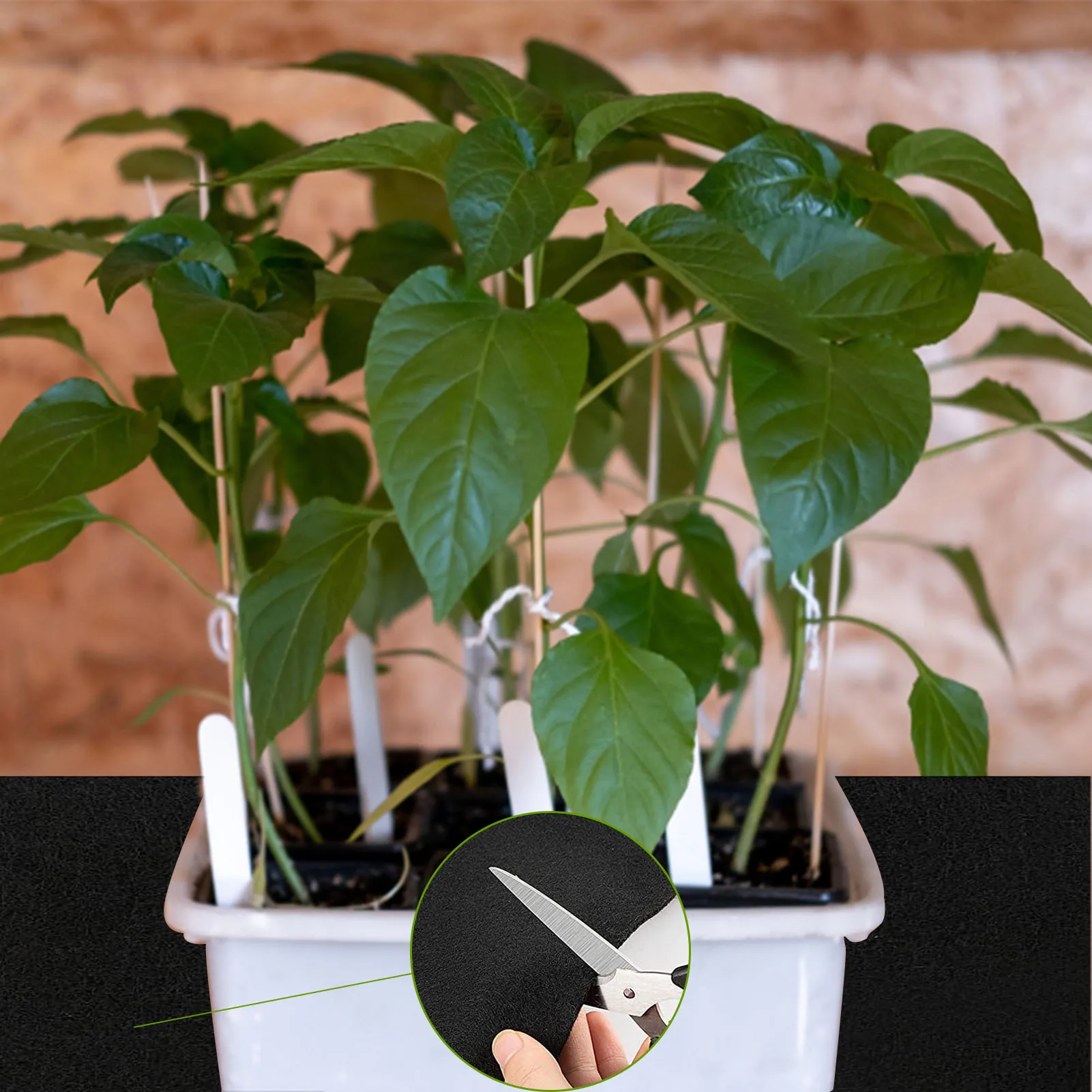

Self-Watering Capillary Mat Automatic Plant Watering System10Pcs Watering Pads With Plant Labels Easy To Absorb Gardening