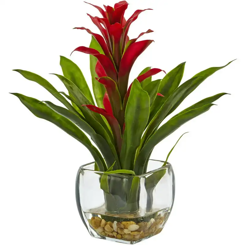 

Bromeliad with Vase Centerpiece