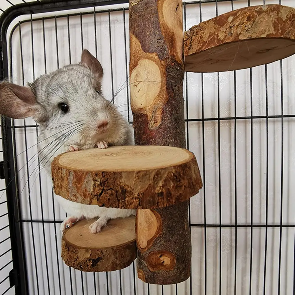 

Hamster Stand Solid Fine Workmanship Natural Wood Small Animal Climbing Platform Small Animal Platform Bite Resistant