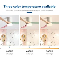 Вентилятор потолочный#2