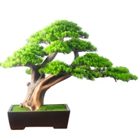 artificial greeting pine bonsai arborvitae dried landscape plant pine and cypress podocarpus macrophyllus hallway pine ornaments